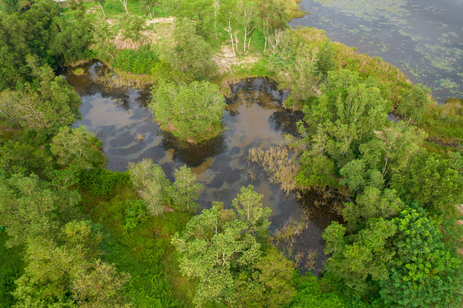 Terugblik op het Watersymposium van de Regionale Landschappen